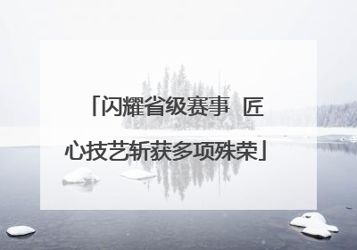 闪耀省级赛事  匠心技艺斩获多项殊荣