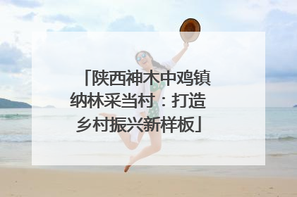 陕西神木中鸡镇纳林采当村：打造乡村振兴新样板