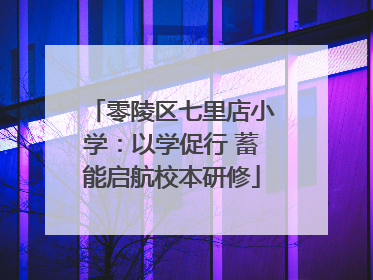 零陵区七里店小学：以学促行 蓄能启航校本研修
