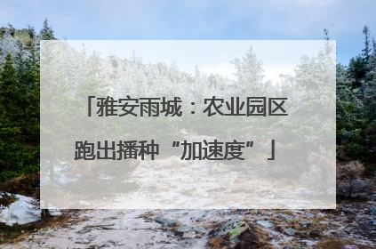 雅安雨城：农业园区跑出播种“加速度”