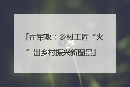 霍军政：乡村工匠“火”出乡村振兴新图景