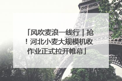 风吹麦浪一线行｜抢！河北小麦大规模机收作业正式拉开帷幕