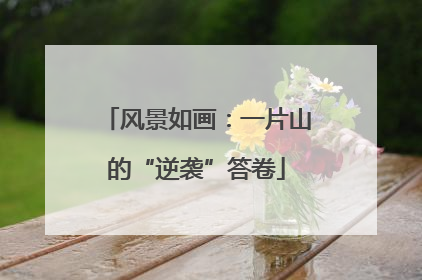 风景如画：一片山的“逆袭”答卷