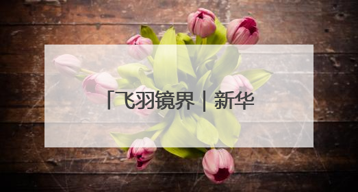 飞羽镜界｜新华社记者对“高原仙子”的四季追寻