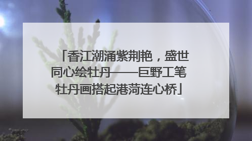 香江潮涌紫荆艳，盛世同心绘牡丹——巨野工笔牡丹画搭起港菏连心桥