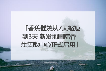 香蕉催熟从7天缩短到3天 新发地国际香蕉集散中心正式启用