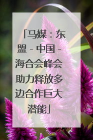 马媒：东盟－中国－海合会峰会助力释放多边合作巨大潜能