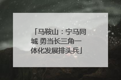马鞍山：宁马同城 勇当长三角一体化发展排头兵