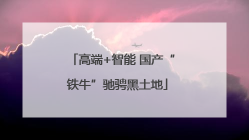 高端+智能 国产“铁牛”驰骋黑土地
