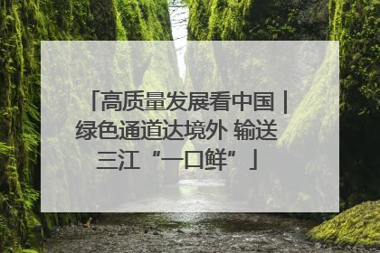 高质量发展看中国｜绿色通道达境外 输送三江“一口鲜”