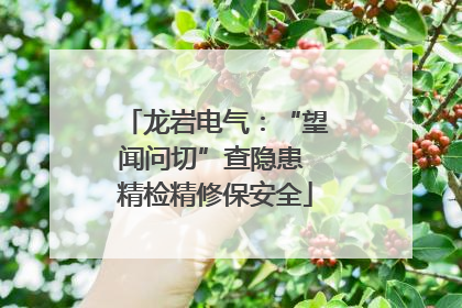 龙岩电气：“望闻问切”查隐患 精检精修保安全