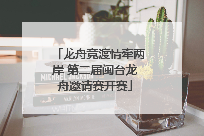 龙舟竞渡情牵两岸 第二届闽台龙舟邀请赛开赛