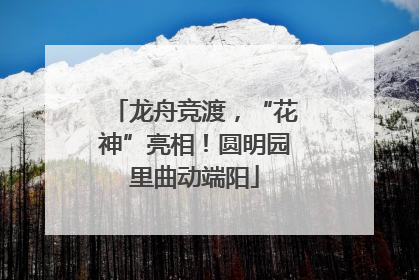 龙舟竞渡，“花神”亮相！圆明园里曲动端阳