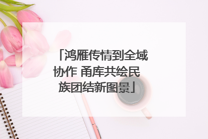 鸿雁传情到全域协作 甬库共绘民族团结新图景