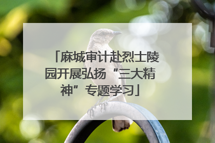 麻城审计赴烈士陵园开展弘扬“三大精神”专题学习