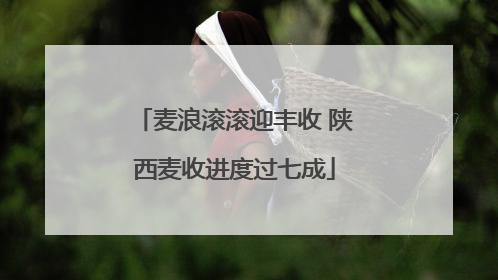 麦浪滚滚迎丰收 陕西麦收进度过七成
