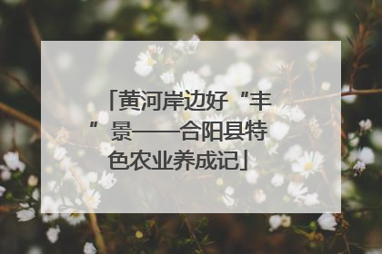 黄河岸边好“丰”景——合阳县特色农业养成记