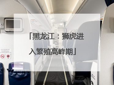黑龙江：狮虎进入繁殖高峰期
