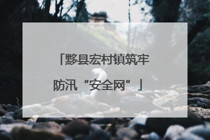 黟县宏村镇筑牢防汛“安全网”