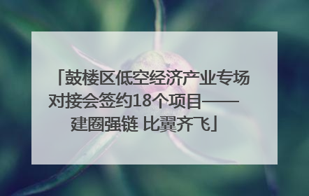 鼓楼区低空经济产业专场对接会签约18个项目——建圈强链 比翼齐飞