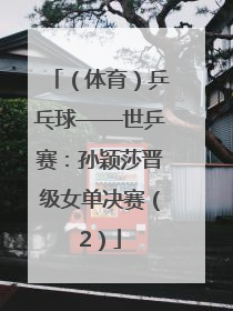 （体育）乒乓球——世乒赛：孙颖莎晋级女单决赛（2）