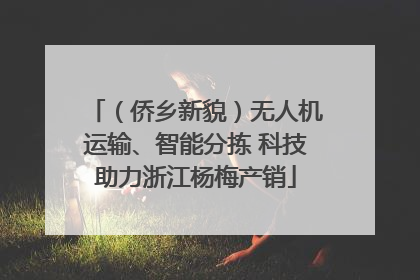 （侨乡新貌）无人机运输、智能分拣 科技助力浙江杨梅产销