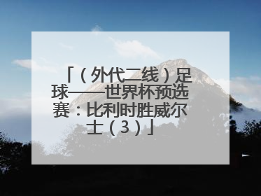 （外代二线）足球——世界杯预选赛：比利时胜威尔士（3）