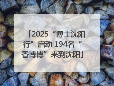 2025“博士沈阳行”启动 194名“香博博”来到沈阳