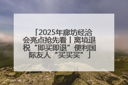 2025年廊坊经洽会亮点抢先看丨离境退税“即买即退”便利国际友人“买买买”
