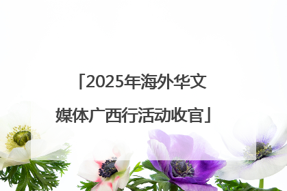 2025年海外华文媒体广西行活动收官