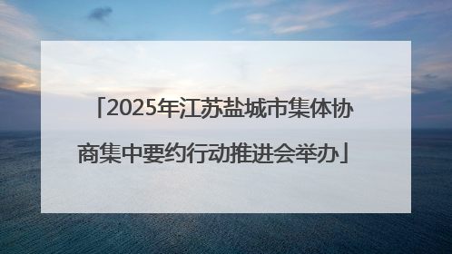 2025年江苏盐城市集体协商集中要约行动推进会举办