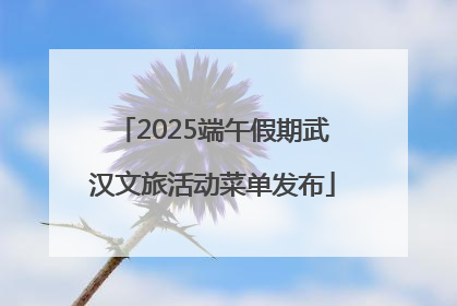 2025端午假期武汉文旅活动菜单发布