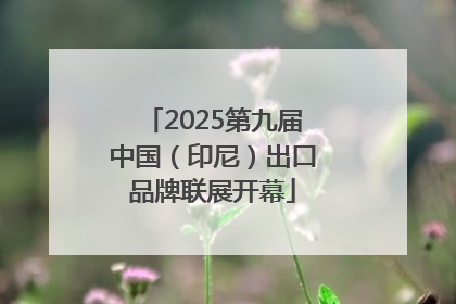 2025第九届中国（印尼）出口品牌联展开幕