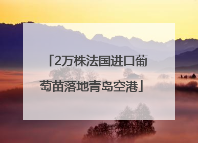 2万株法国进口葡萄苗落地青岛空港