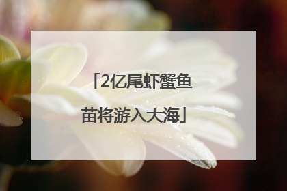2亿尾虾蟹鱼苗将游入大海
