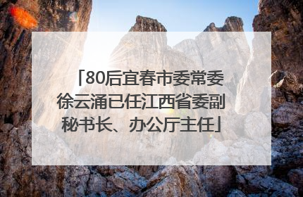 80后宜春市委常委徐云涌已任江西省委副秘书长、办公厅主任