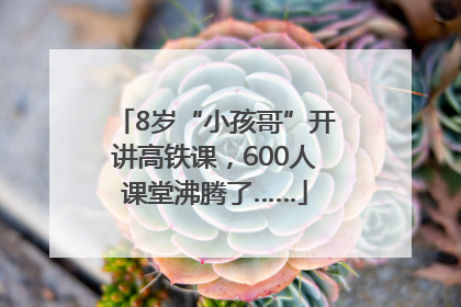 8岁“小孩哥”开讲高铁课，600人课堂沸腾了……