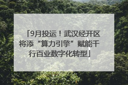 9月投运！武汉经开区将添“算力引擎”赋能千行百业数字化转型