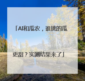 AI和瓜农，谁挑的瓜更甜？实测结果来了
